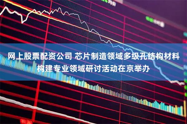 网上股票配资公司 芯片制造领域多级孔结构材料构建专业领域研讨活动在京举办