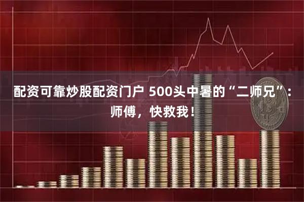 配资可靠炒股配资门户 500头中暑的“二师兄”：师傅，快救我！